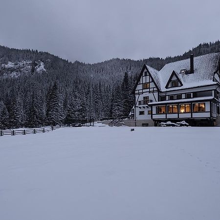 Отель Chalet Alpina Мороэни Экстерьер фото