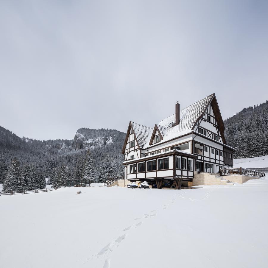 Chalet Alpina Мороэни Экстерьер фото