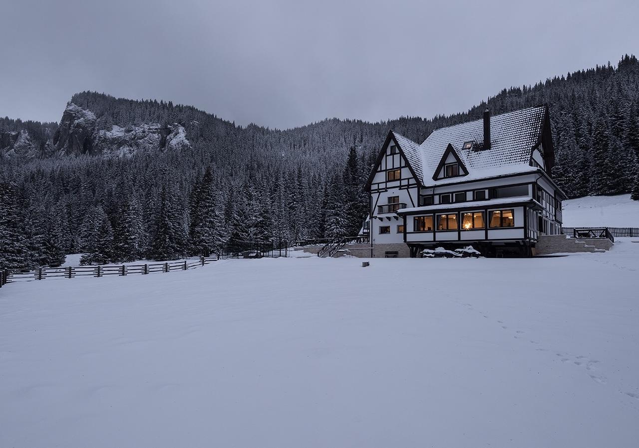 Отель Chalet Alpina Мороэни Экстерьер фото